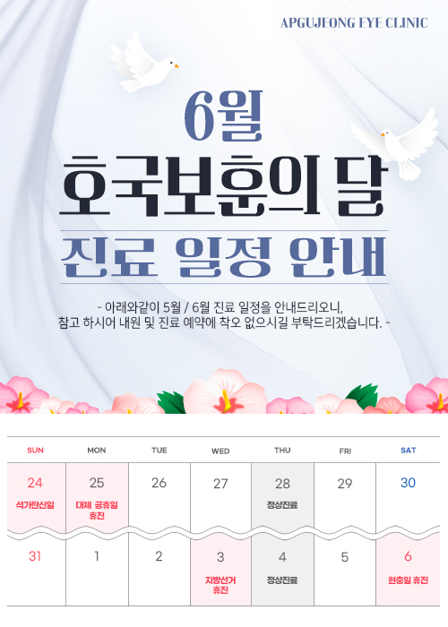 진료일정